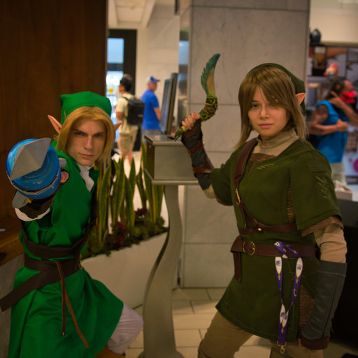 LOZ Link and Link