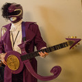 Misc_Purple_Rainger.jpg