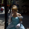 DSC_0019 (2).jpg